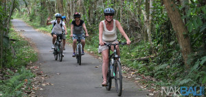 Kintamani to Ubud Cycling Tour
