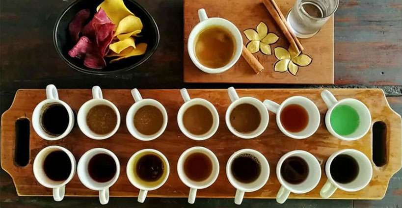 Bali Coffee Tasting